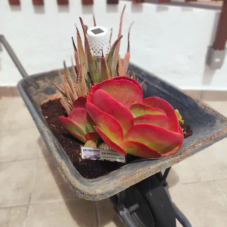 アパート Casa El Escano En La Naturaleza & Jacuzzi