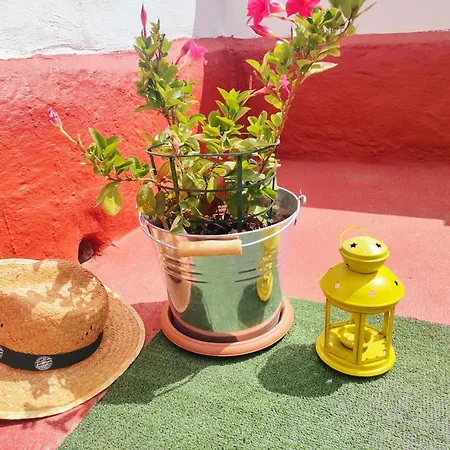 アパート Casa El Escano En La Naturaleza & Jacuzzi